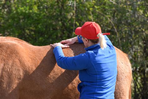 massage cheval blanc